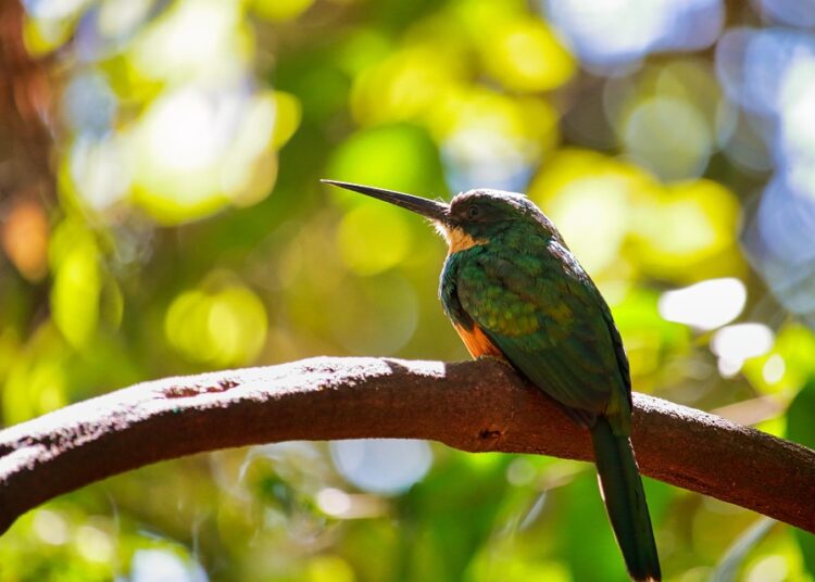 Is a Brokerage Account Right for You? 7 Key Questions to Consider