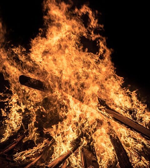 Is the FIRE Movement Right for You? Evaluating Its Practicality and Challenges Is the FIRE Movement Right for You? Evaluating Its Practicality and Challenges