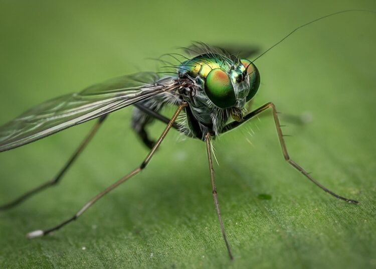 Simple vs Compound Interest: Which One Will Make You Wealthier Over Time?