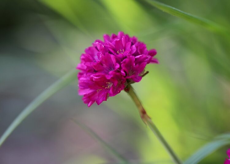 Struggling to Find Quality Thrift Items? 7 Tips to Turn Frustration into Fashion!