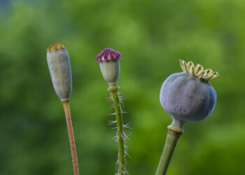 Struggling with Clutter? How to Build a Capsule Wardrobe That Fits Your Lifestyle