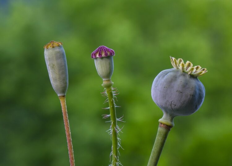 Struggling with Clutter? How to Build a Capsule Wardrobe That Fits Your Lifestyle