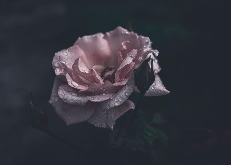 Struggling with Credit After Bankruptcy? Here’s How You Can Overcome It!