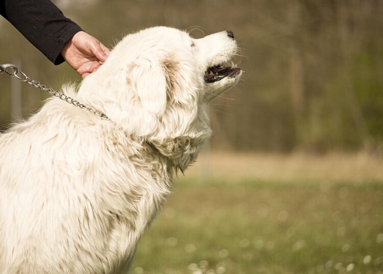 Struggling with Debt? Discover These 5 Essential Tips for Low-Income Earners Struggling with Debt? Discover These 5 Essential Tips for Low-Income Earners