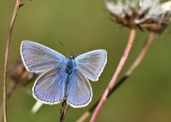 The Top 5 Common Money Mistakes Everyone Makes and How to Overcome Them The Top 5 Common Money Mistakes Everyone Makes and How to Overcome Them