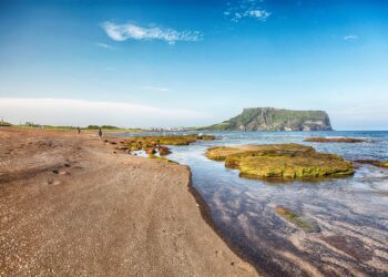 The Ultimate Checklist: How to Manage Your Salary Effectively in 5 Simple Steps