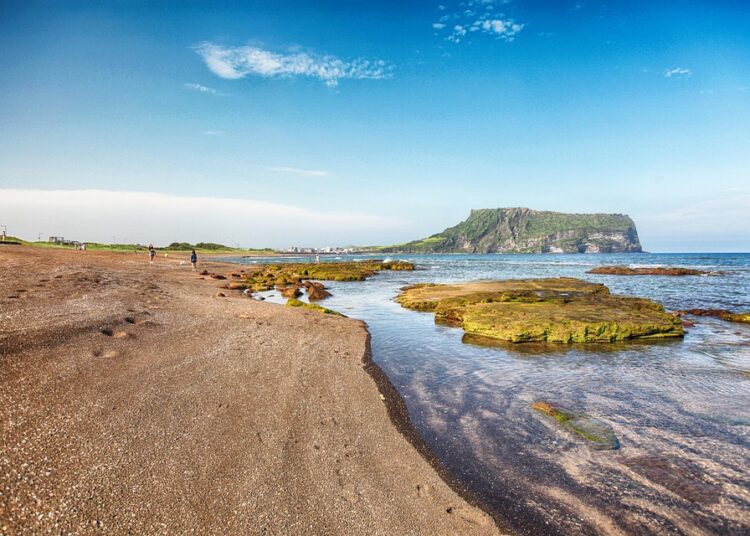 The Ultimate Checklist: How to Manage Your Salary Effectively in 5 Simple Steps The Ultimate Checklist: How to Manage Your Salary Effectively in 5 Simple Steps