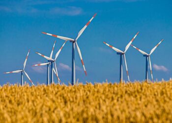 Top 7 Missteps New Investors Make in Sustainable Investing by 2025 (and How to Avoid Them) Top 7 Missteps New Investors Make in Sustainable Investing by 2025 (and How to Avoid Them)