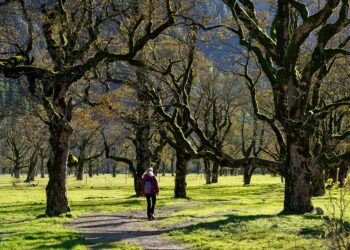 What Are Some Weekend Side Hustles? 5 Ideas That Can Boost Your Income! What Are Some Weekend Side Hustles? 5 Ideas That Can Boost Your Income!