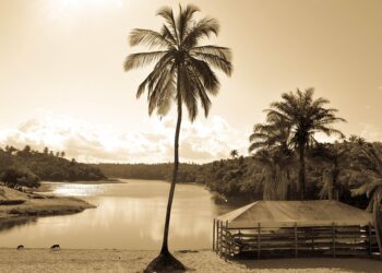 What Are the Best Places to Live for Early Retirees? Explore Ideal Destinations! What Are the Best Places to Live for Early Retirees? Explore Ideal Destinations!