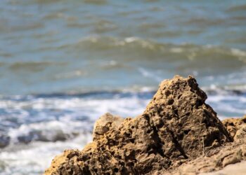 What Are the Best Robo-Advisors for IRA Investing? Key Features You Need to Know