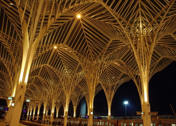 What ETFs Do Robo-Advisors Use? 5 Key Insights for Savvy Investors What ETFs Do Robo-Advisors Use? 5 Key Insights for Savvy Investors