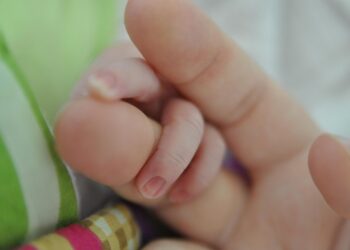 What Happens to Your Investments During a Market Crash? Insights from Robo-Advisors