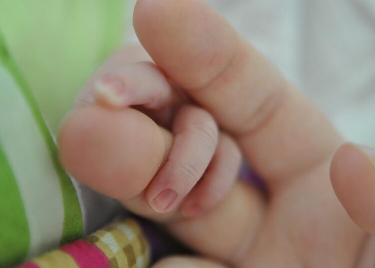 What Happens to Your Investments During a Market Crash? Insights from Robo-Advisors What Happens to Your Investments During a Market Crash? Insights from Robo-Advisors