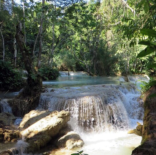 What If I Can’t Afford My Monthly Payments? 5 Essential Options You Need to Know What If I Can’t Afford My Monthly Payments? 5 Essential Options You Need to Know