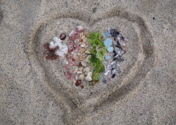 What Is Credit Management? Understanding the Basics for Financial Success