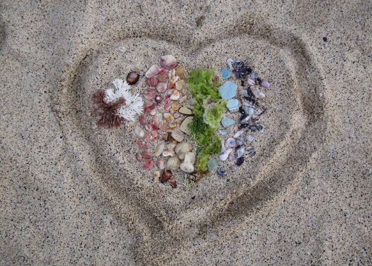 What Is Credit Management? Understanding the Basics for Financial Success