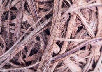 What Is a Millionaire’s Secret? Discover the Mindset That Creates Wealth What Is a Millionaire’s Secret? Discover the Mindset That Creates Wealth