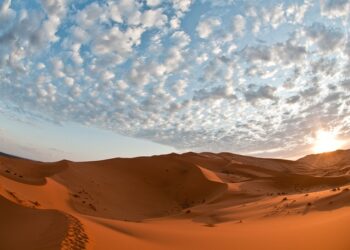 What to Do When You Have to Use Your Emergency Fund: A Comprehensive FAQ What to Do When You Have to Use Your Emergency Fund: A Comprehensive FAQ