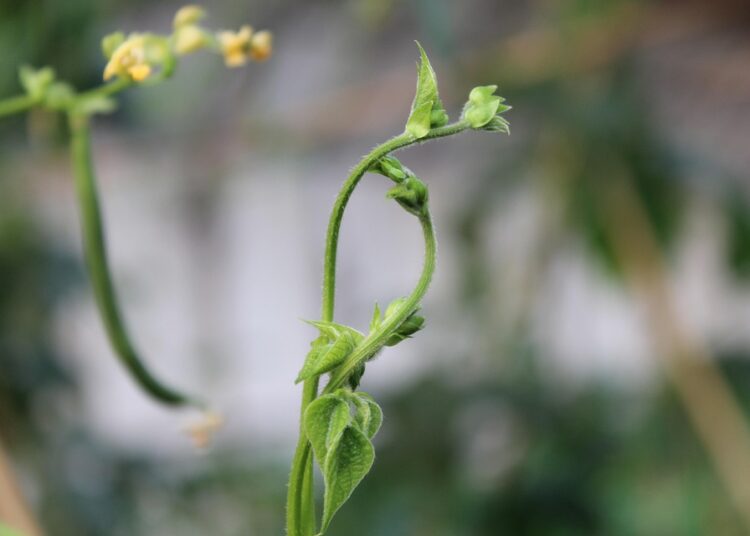 Why Spending Less Could Help You Live More: The Benefits of Minimalism Explained Why Spending Less Could Help You Live More: The Benefits of Minimalism Explained